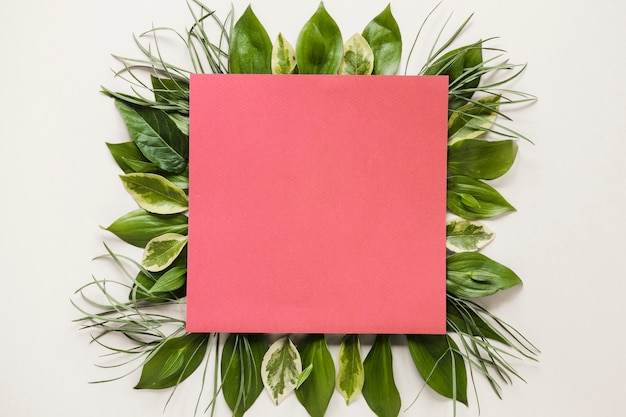 Flat lay of square paper on leaves