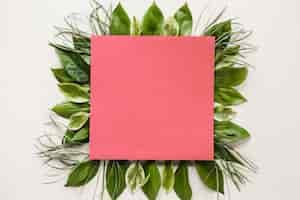 Free photo flat lay of square paper on leaves