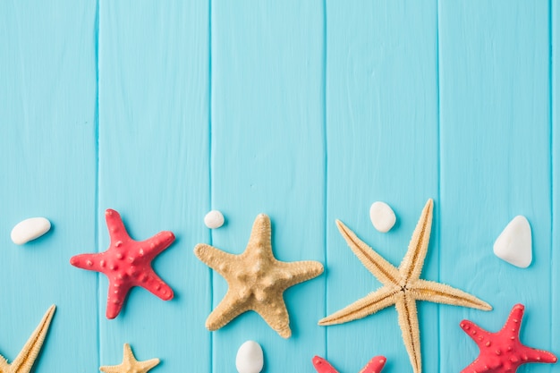 Flat lay starfish and seashells on wooden board with copy space