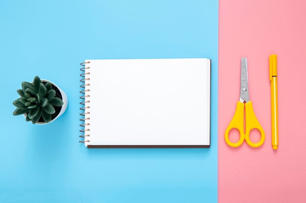 Flat lay stationery arrangement on bicolor background