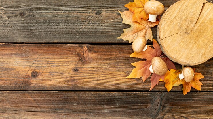Free Photo flat lay stump and mashrooms with copy space