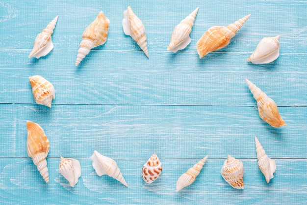 Flat lay summer composition with sea shells