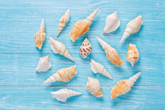 Free photo flat lay summer composition with sea shells