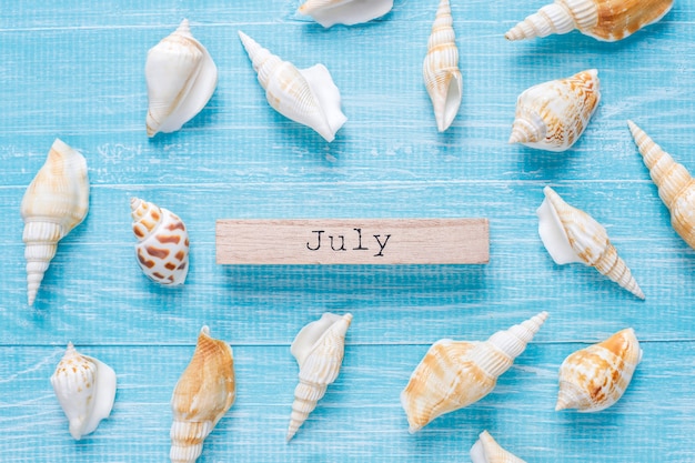 Flat lay summer composition with sea shells
