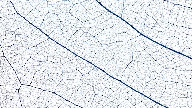 Плоская планировка полупрозрачной текстуры листьев