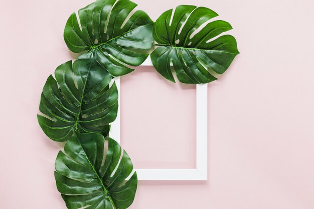 Flat lay of tropical leaves with copyspace