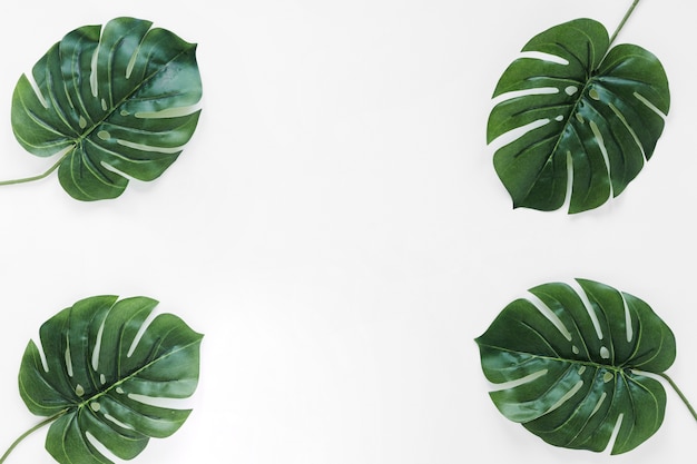 Free photo flat lay of tropical leaves with copyspace