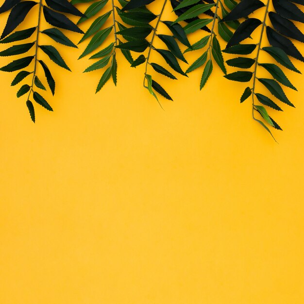 Flat lay tropical palm leaves on yellow copy space background. Summer concept