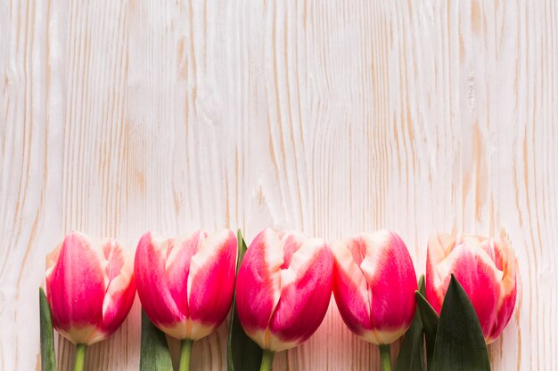 Flat lay tulips on table