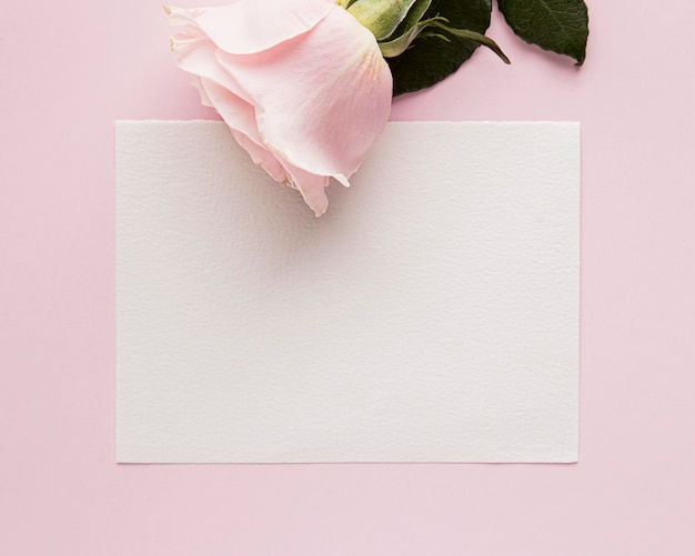 Free photo flat lay of valentine's day concept with copy space