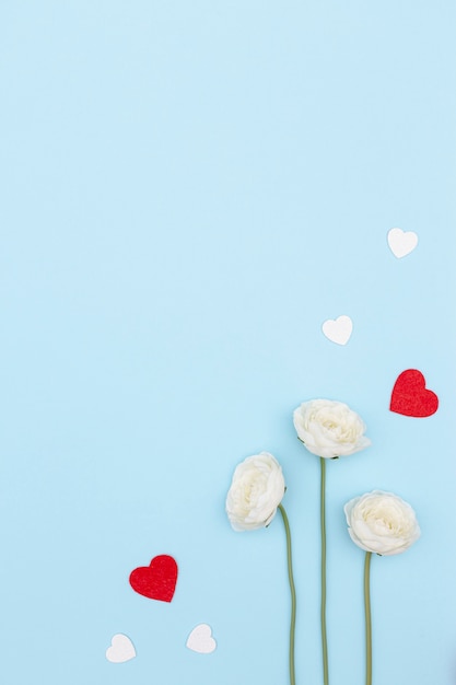 Flat lay of valentines day flowers with copy space and hearts