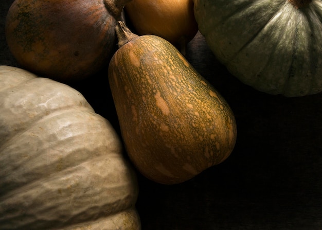 Flat lay of variety of autumn squash