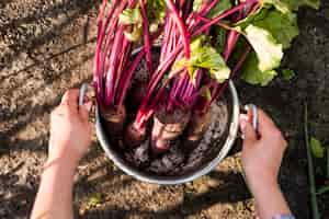 Free photo flat lay vegetables in pot