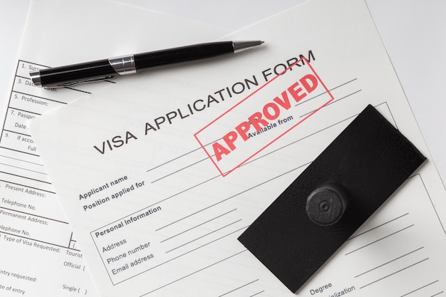 Flat lay visa application assortment