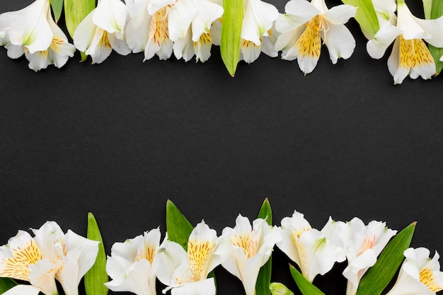 Free photo flat lay white alstroemeria with copy-space
