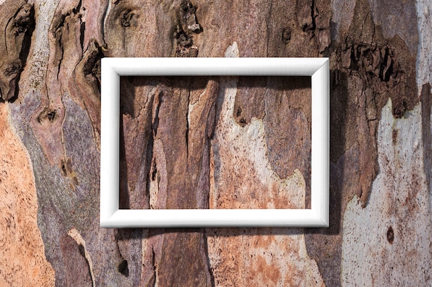 Flat lay white frame on tree bark