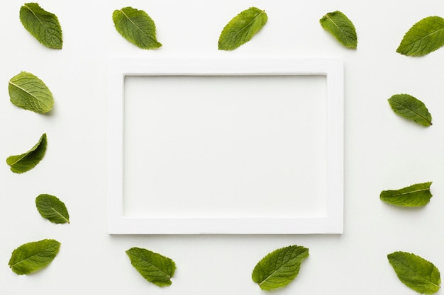 Free photo flat lay white frame with leaves