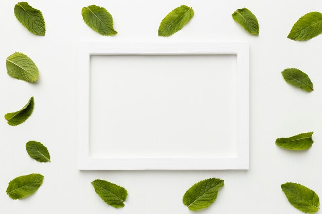 Плоская белая рамка с листьями