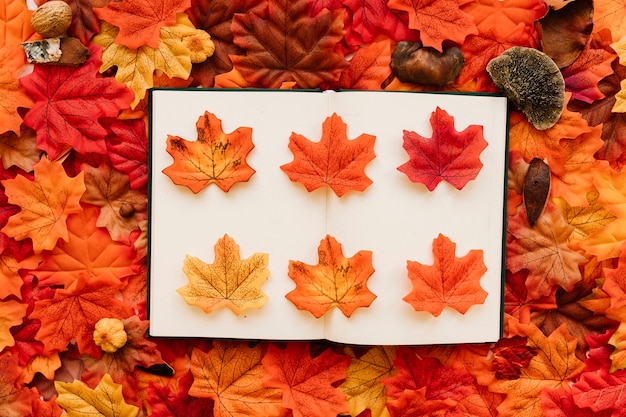 Flat lay with composition of border and fall leaves inside 