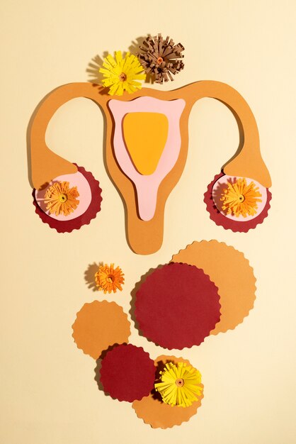 Flat lay women reproductive system and flowers