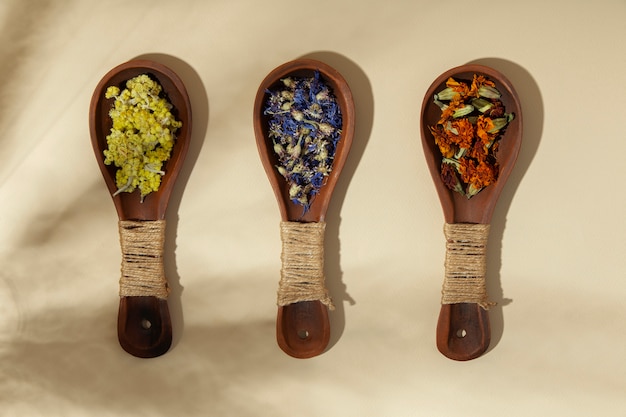 Flat lay wooden spoons with plants