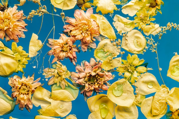 Flat lay yellow flowers in blue water