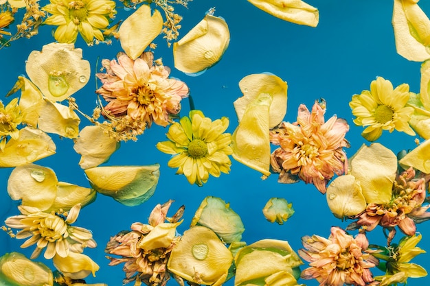 Free photo flat lay yellow flowers in water