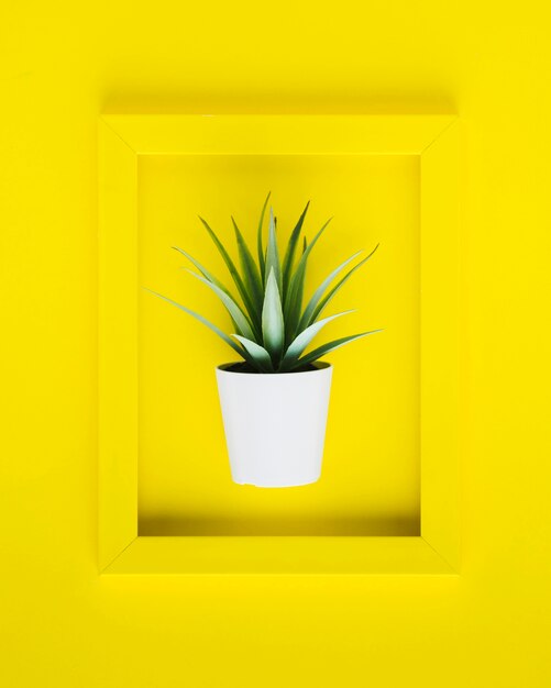 Flat lay yellow frame with plant inside