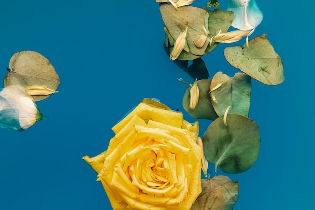 Flat lay yellow rose and leaves in water with copy space