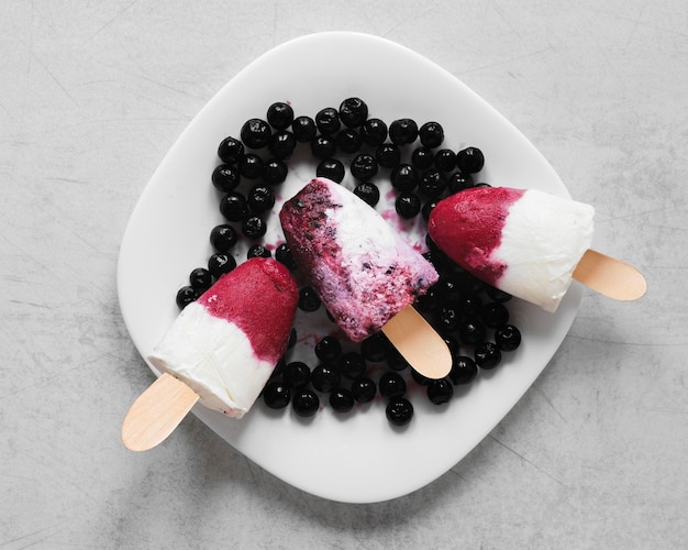 Плоская кладка вкусного фруктового мороженого на тарелке с черникой