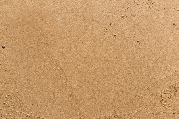 해변 질감 배경의 평평한 모래