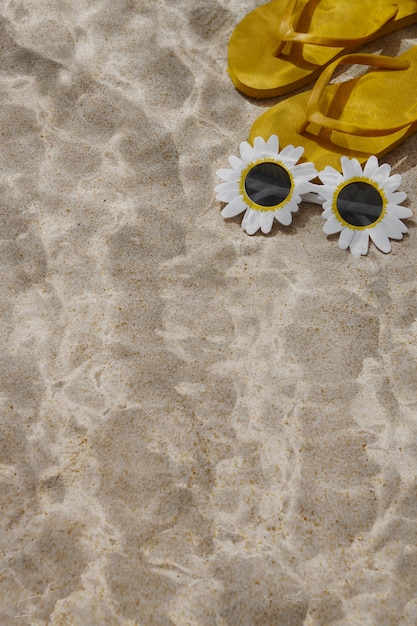 Free photo flip flops underwater still life