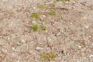 無料写真 石と少しの草の床
