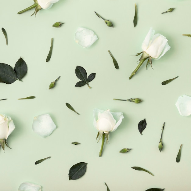 Foto gratuita disposizione floreale delle rose su fondo verde