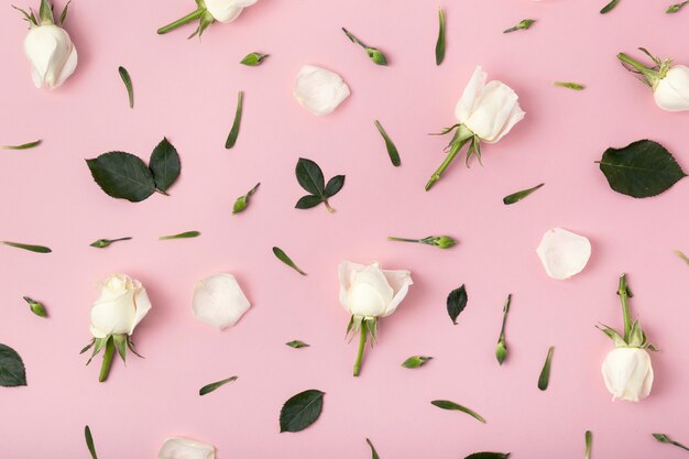 Floral arrangement of roses on pink background