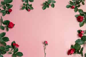무료 사진 분홍색 배경 복사 공간에 신선한 자연 장미와 꽃 배열.