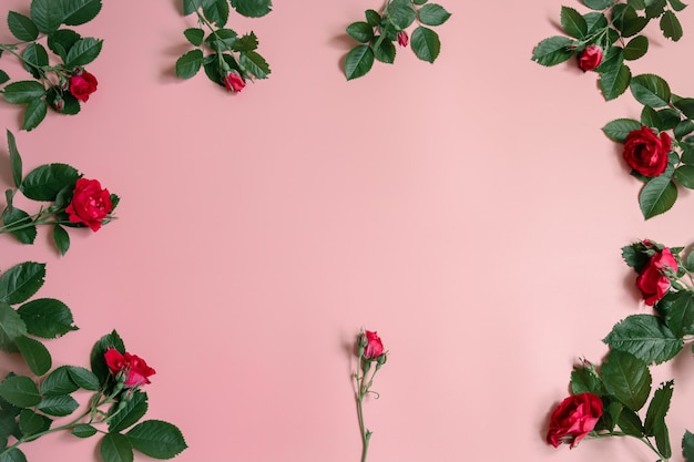 Floral arrangement with fresh natural roses on pink background copy space.