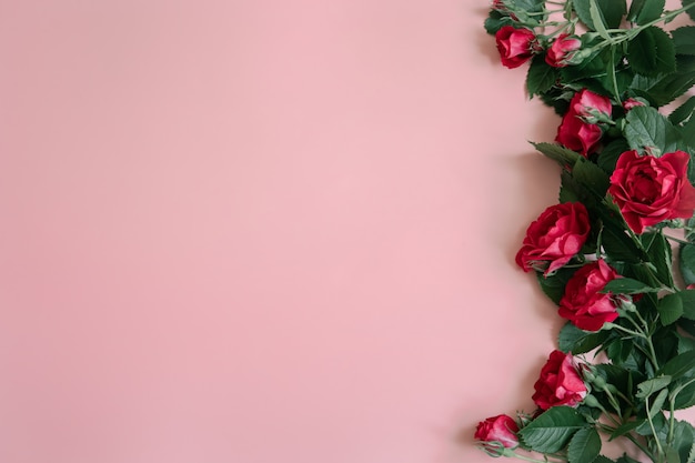 Floral arrangement with fresh red roses on pink surface copy space