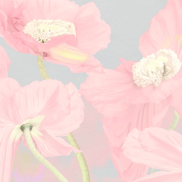 Free photo floral background, pink poppy psychedelic art