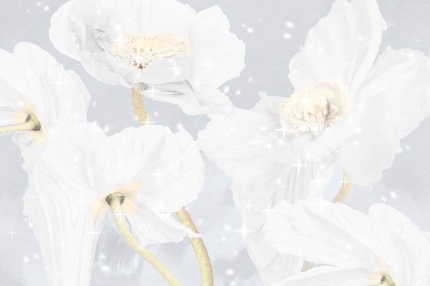 꽃 배경, 흰 양귀비 추상 미술