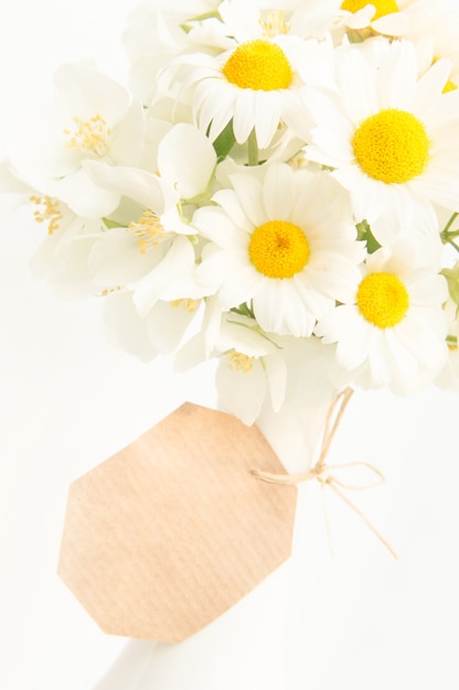 Free photo floral background with daisies.