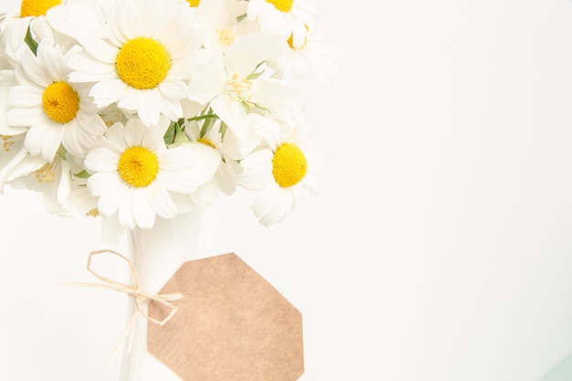 Free photo floral background with daisies.