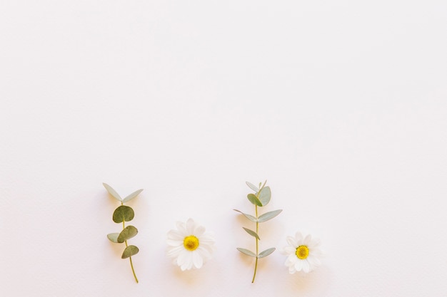 Free photo floral background with flowers on bottom