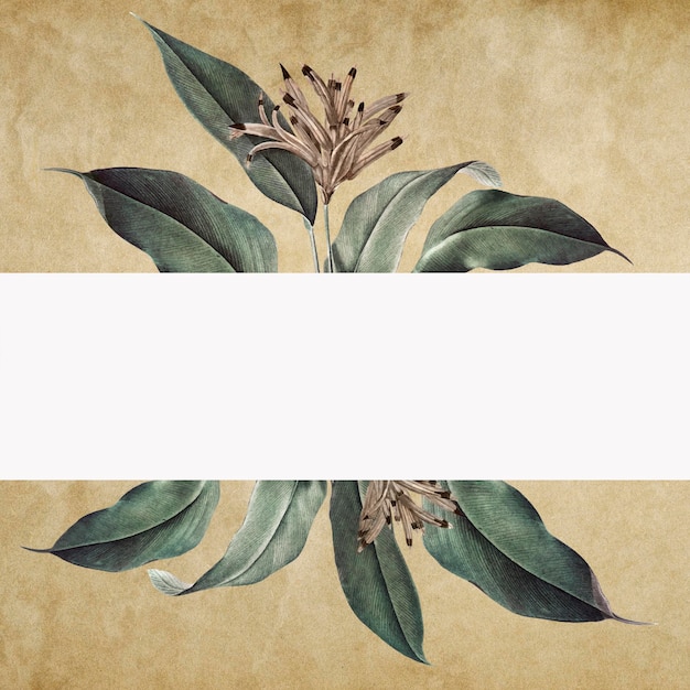 Free photo floral banner on a vintage paper background