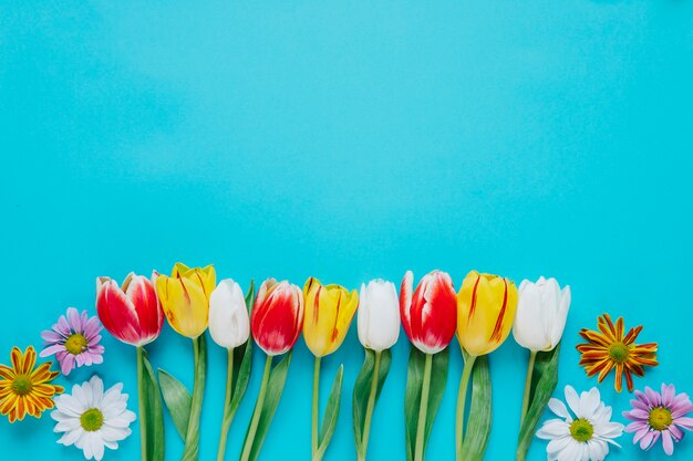 Floral composition of blue backdrop