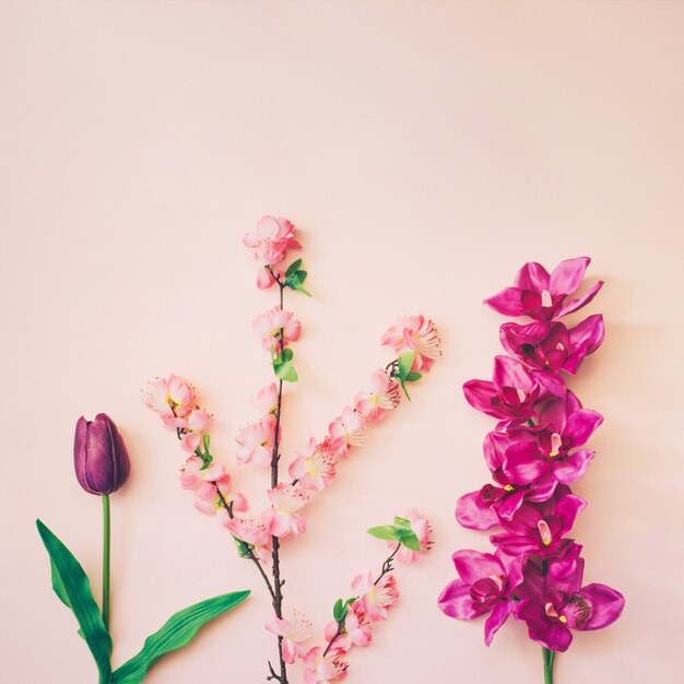 Floral composition on pink background