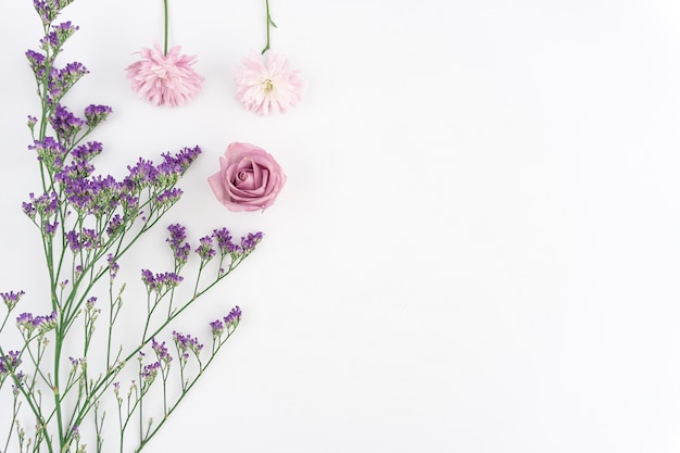 Floral composition on white background