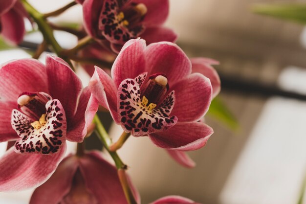 エレガントなスタイルの花のコンポジション