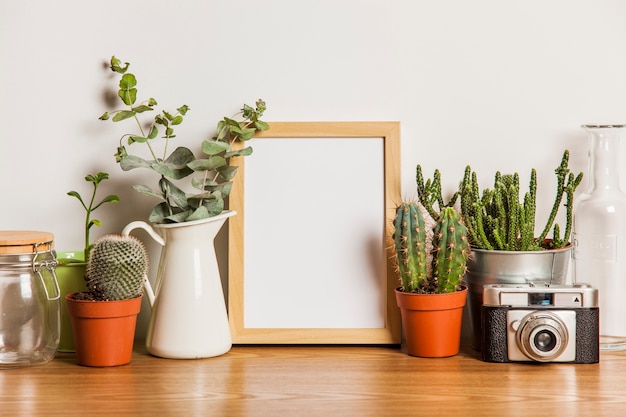 フレームと多くの植物を持つ花の組成