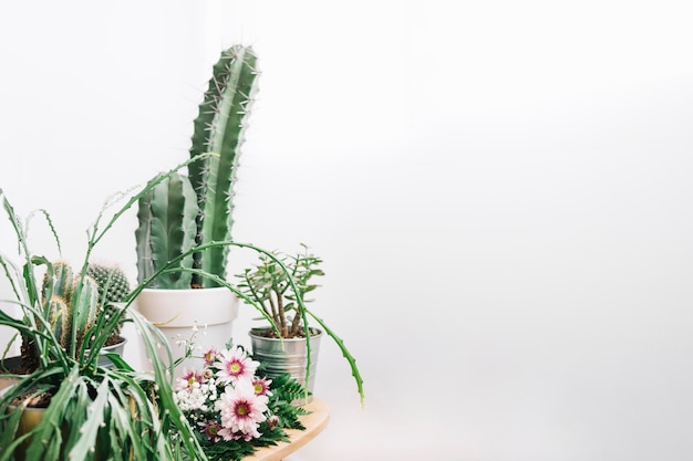 Floral composition with space on right and cactus